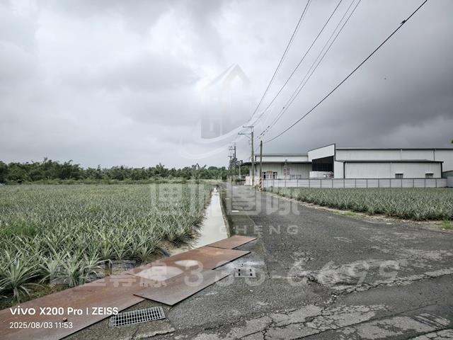 關廟農地-9