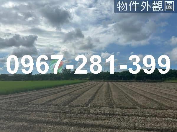 頭份農地-1