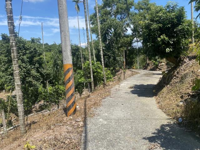 南投市農地-11