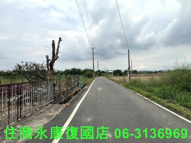麻豆農地-3
