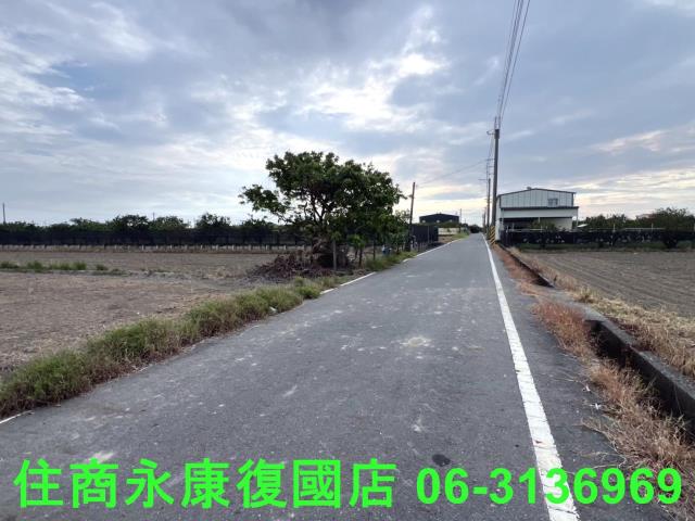麻豆農地-4
