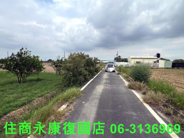 麻豆農地-6