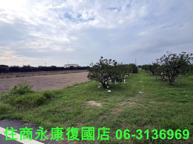 麻豆農地-7