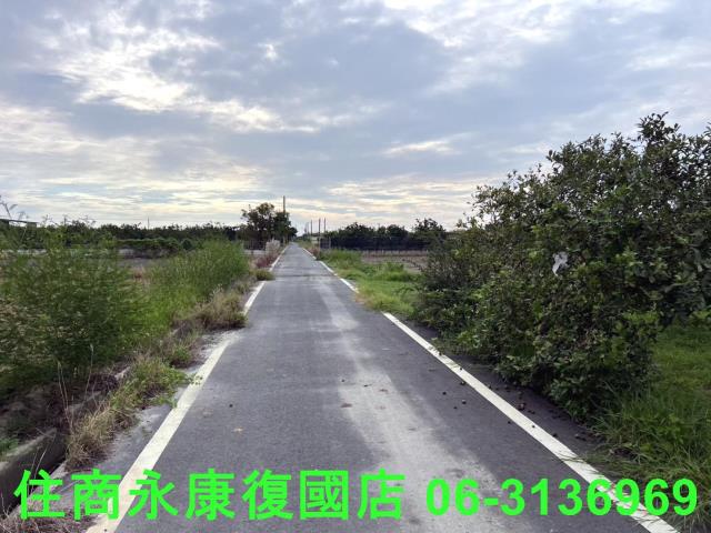 麻豆農地-9