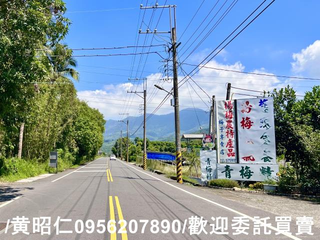 台南農地-2