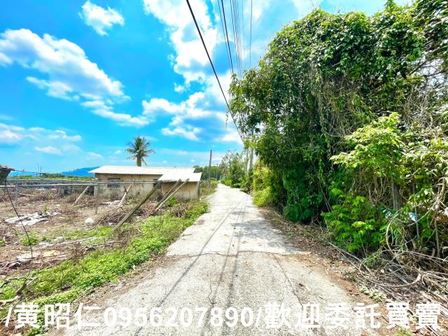 台南農地-7