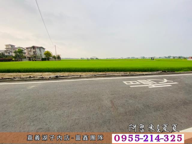 嘉義農地-4