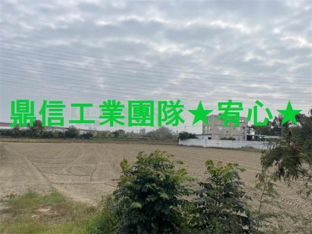 新市農地-1