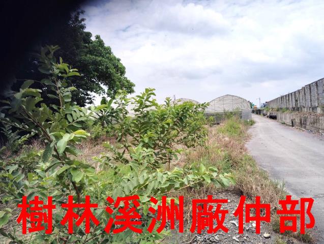 溪湖農地-1