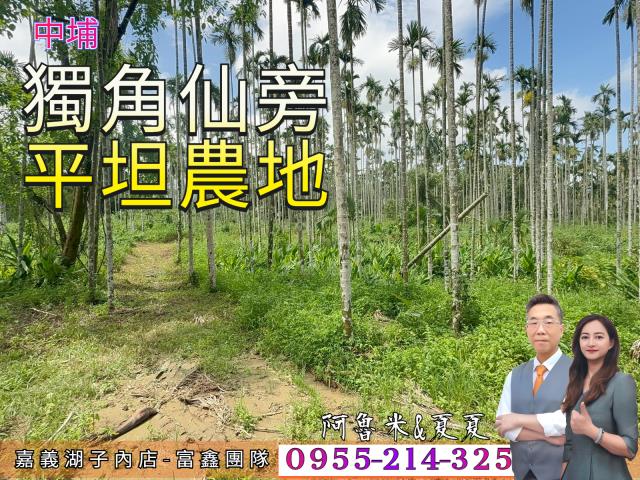 中埔農地-1