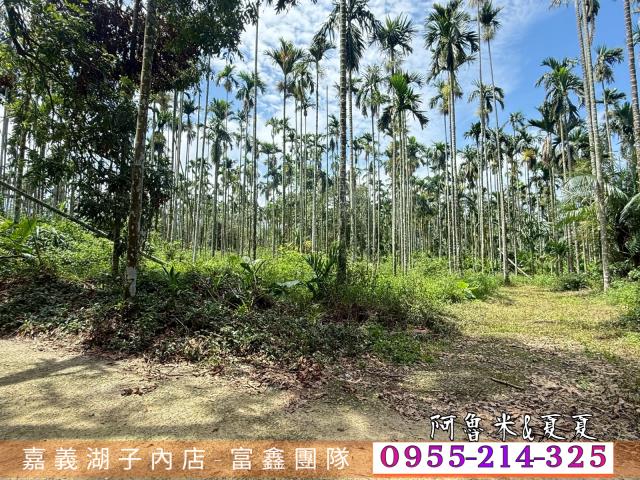 中埔農地-2