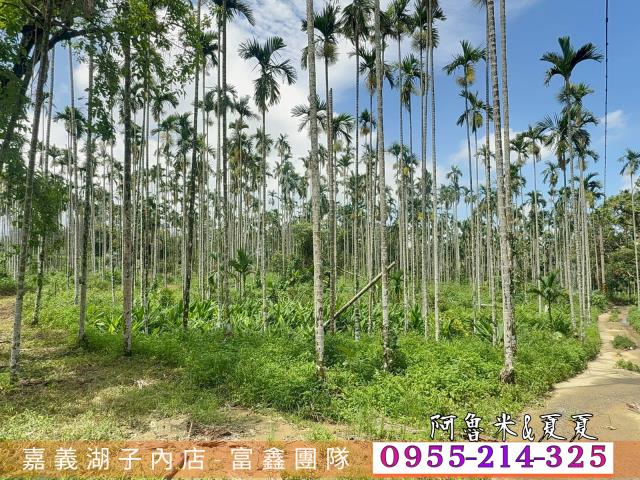 中埔農地-3
