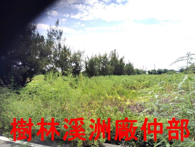大城農地-2