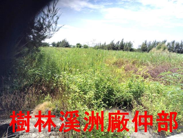 大城農地-3