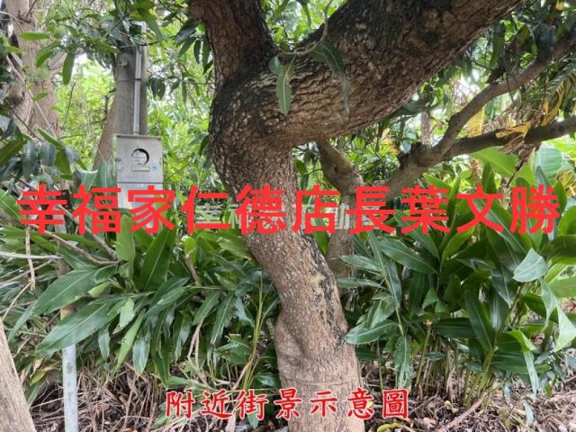 台南農地-10