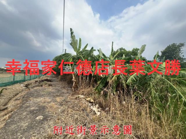 台南農地-3
