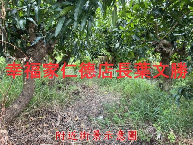 台南農地-9