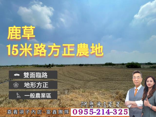 嘉義農地-1