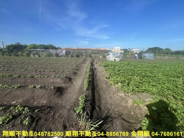 彰化農地-2