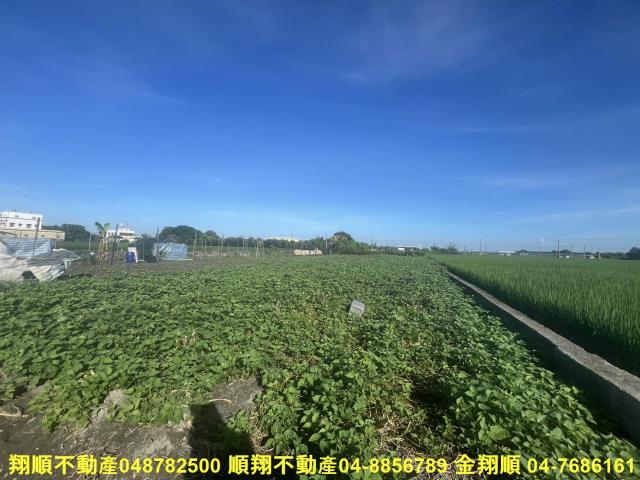 彰化農地-3