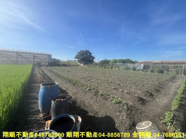 彰化農地-5