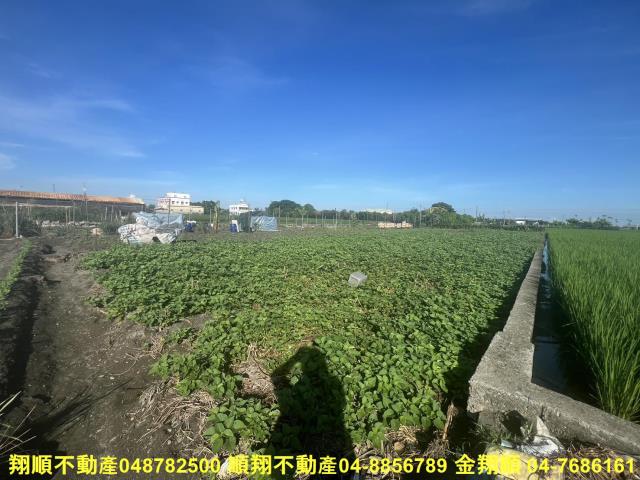 彰化農地-6