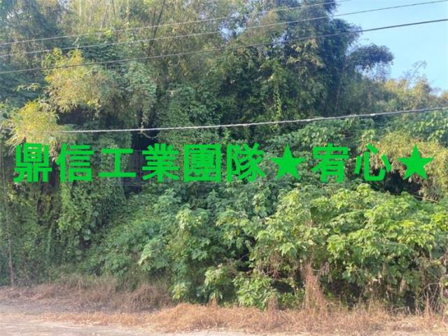 龍崎農地-1