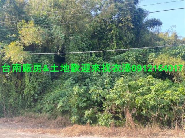龍崎農地-1