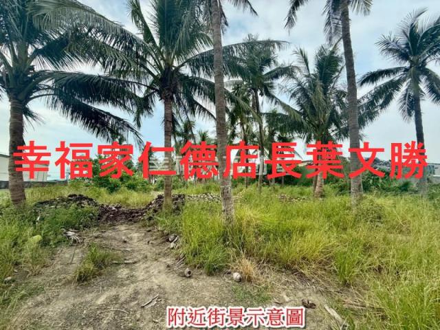安南農地-15