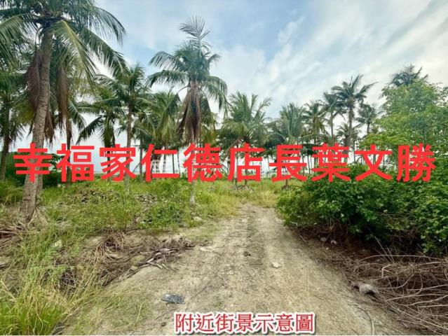 安南農地-4