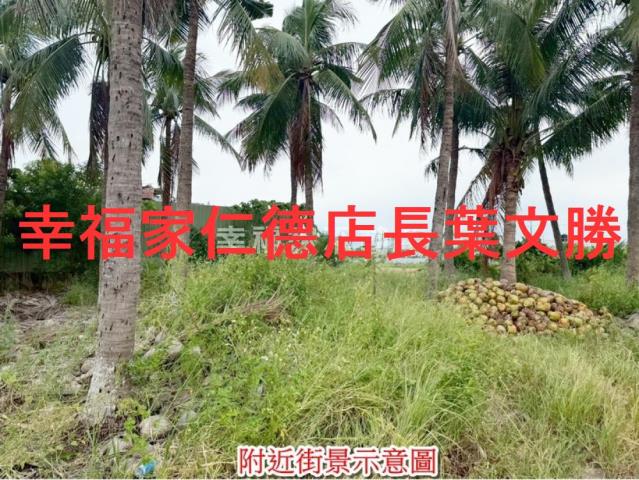 安南農地-9