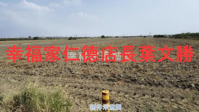 麻豆農地-10
