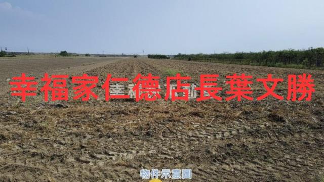 麻豆農地-13