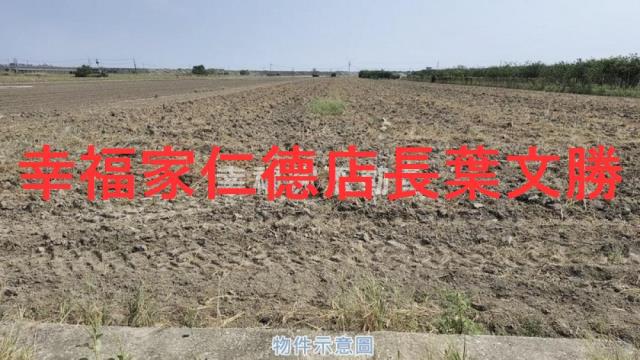 麻豆農地-14