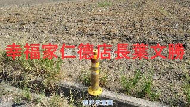 麻豆農地-3
