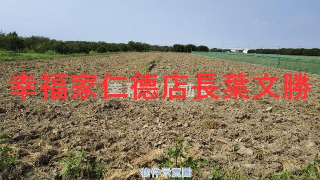 麻豆農地-4