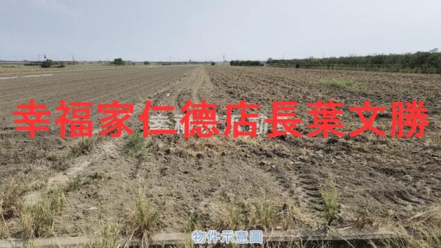 麻豆農地-5