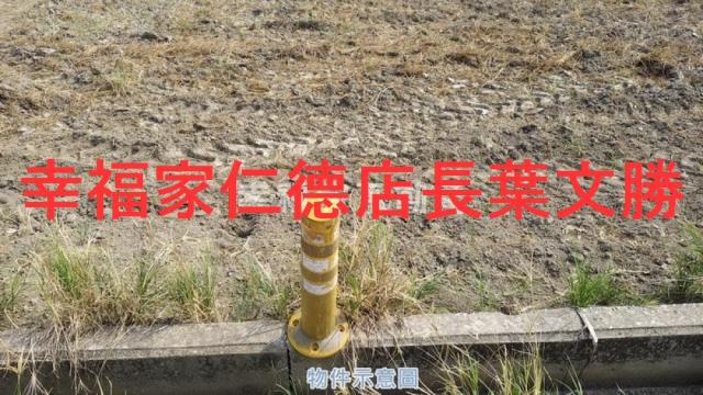 麻豆農地-6