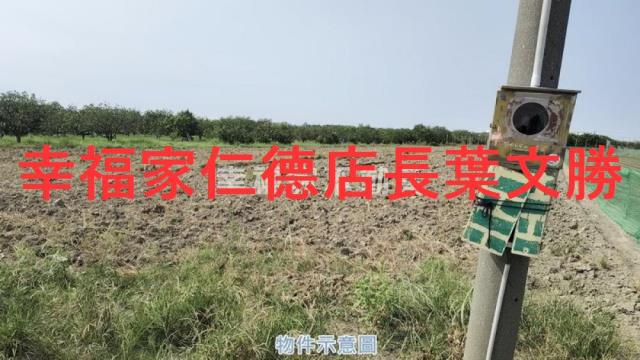 麻豆農地-7