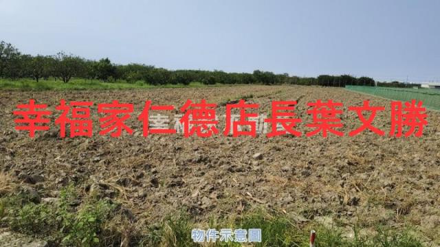 麻豆農地-9