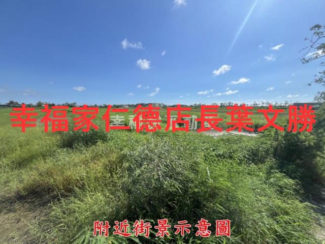 佳里農地-10