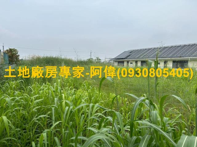大寮農地-1