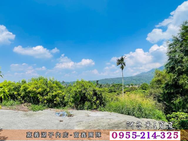 竹崎農地-2