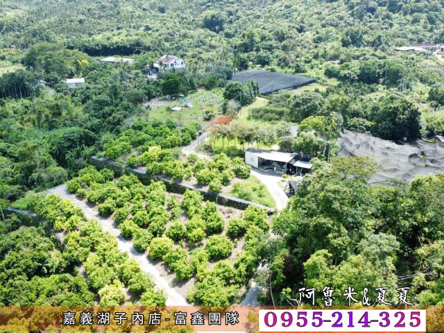 竹崎農地-4