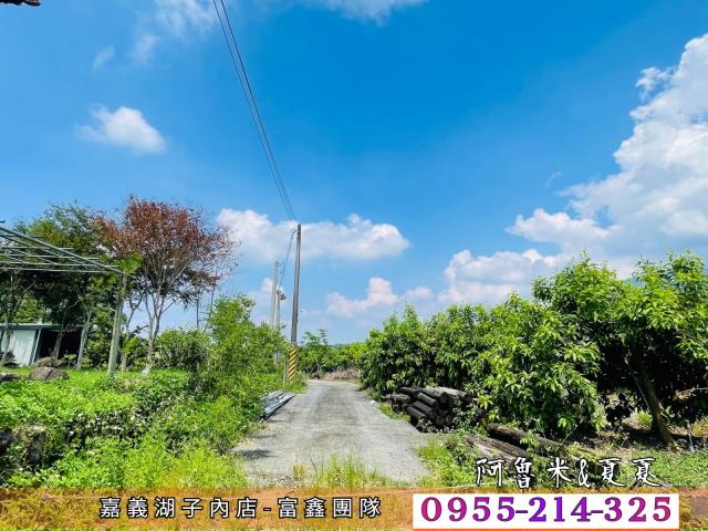 竹崎農地-5