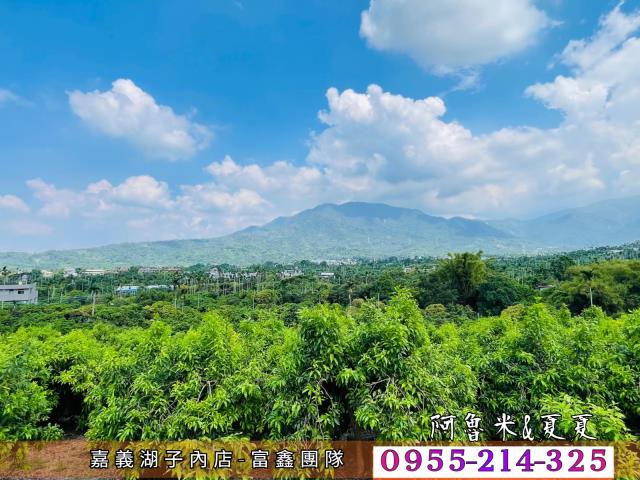 竹崎農地-6
