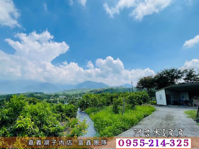 竹崎農地-8