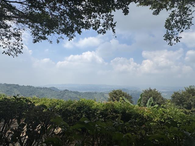 台中農地-4