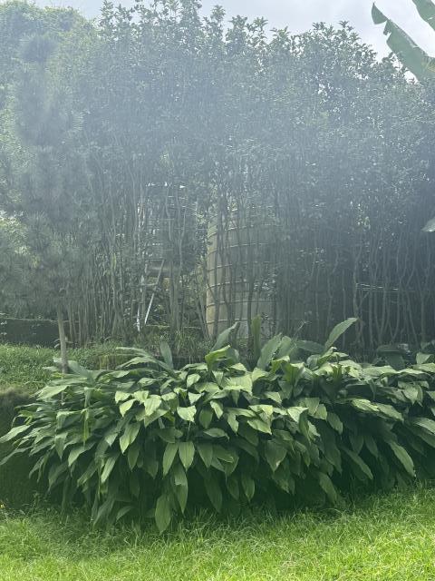 台中農地-7
