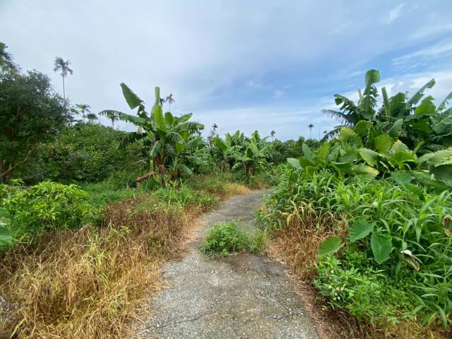 番路農地-1